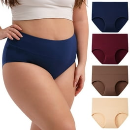 INNERSY Women's Plus Size XL-5XL Cotton Underwear High Waisted Briefs  Panties 4-Pack (2XL,Spring Lake)