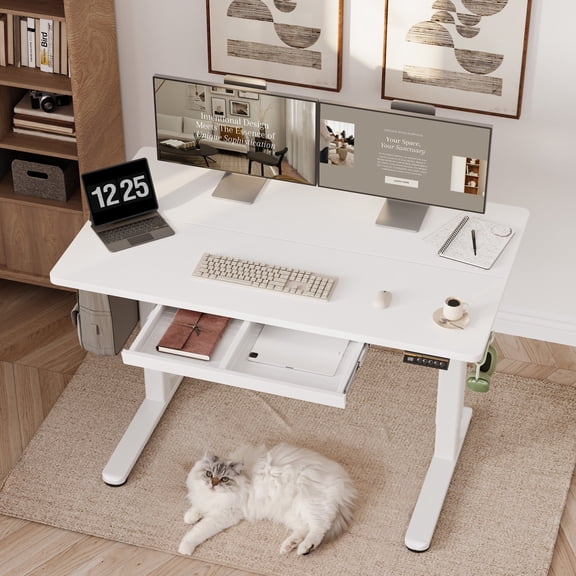 INNOVAR Standing Desk with 1 Drawer, 48 inch Electric Rising Stand up Work Desk, White Small Adjustable Height Sit to Stand Computer Study Desk Suitable for Home Office
