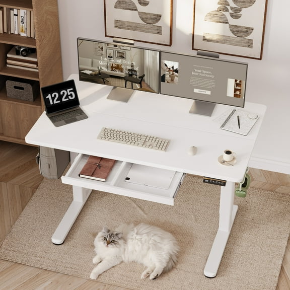 INNOVAR Adjustable Standing Desk with Drawers, 55x24 inch Electric Stand up Adjust Height Sit Stand Desk with Storage Home Office Computer Table Workstation with Power Lifting, White