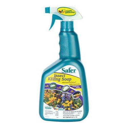 INSECTICIDAL SOAP 32OZ