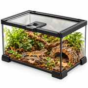 INSMART Mini Reptile Terrarium, 12" x 8" x 6" Glass Tank with Locking Lid and Feeding Port