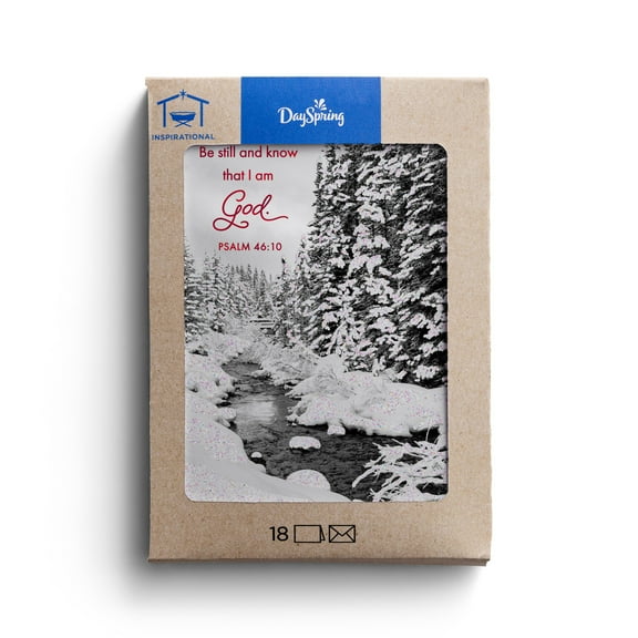 2025 DaySpring - Black and White Stream - 18 Christmas Cards in a Kraft Box, KJV