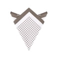 thumbnail image 1 of INSPIRE CHIC Father's Day Men's Pocket Squares Checkered Print Silky Handkerchief with Solid Trim Brown One Size, 1 of 4