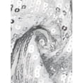 thumbnail image 1 of INSPIRE CHIC Party Tops for Women's Sequin Fringe Trim Sleeveless Round Neck Sparkly Tees L White, 1 of 5