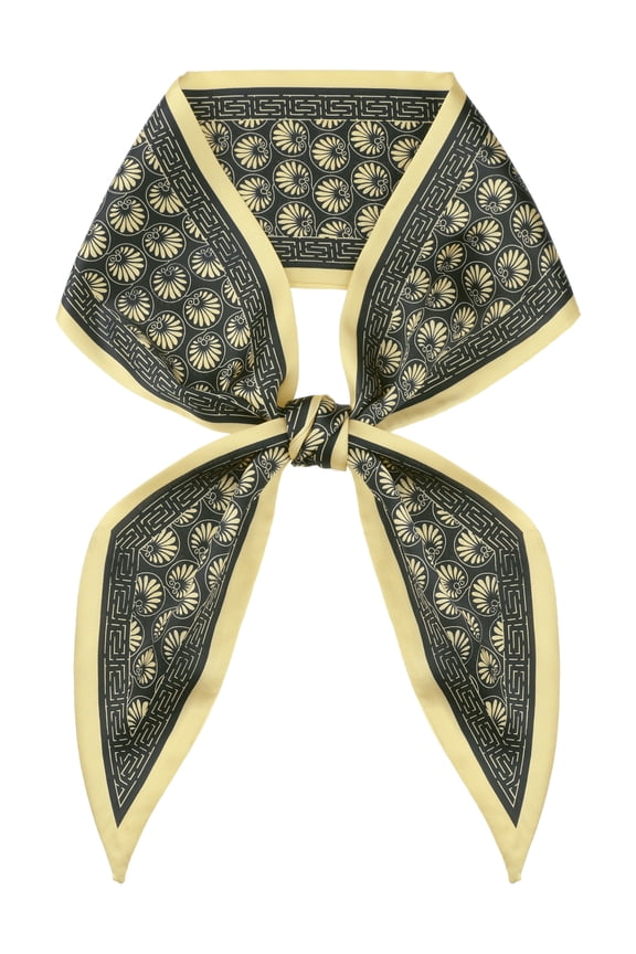 Women's Paisley Pattern Skinny Long Scarves, Floral Satin Silky Ribbon Hair Band Neckerchief Neck Scarf 37.4x3.5" Black