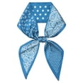 thumbnail image 1 of INSPIRE CHIC Women's Paisley Polka Dots Pattern Skinny Long Scarves, Satin Silky Ribbon Hair Band Neckerchief Neck Scarf 37.4x3.5" Peacock Blue, 1 of 6