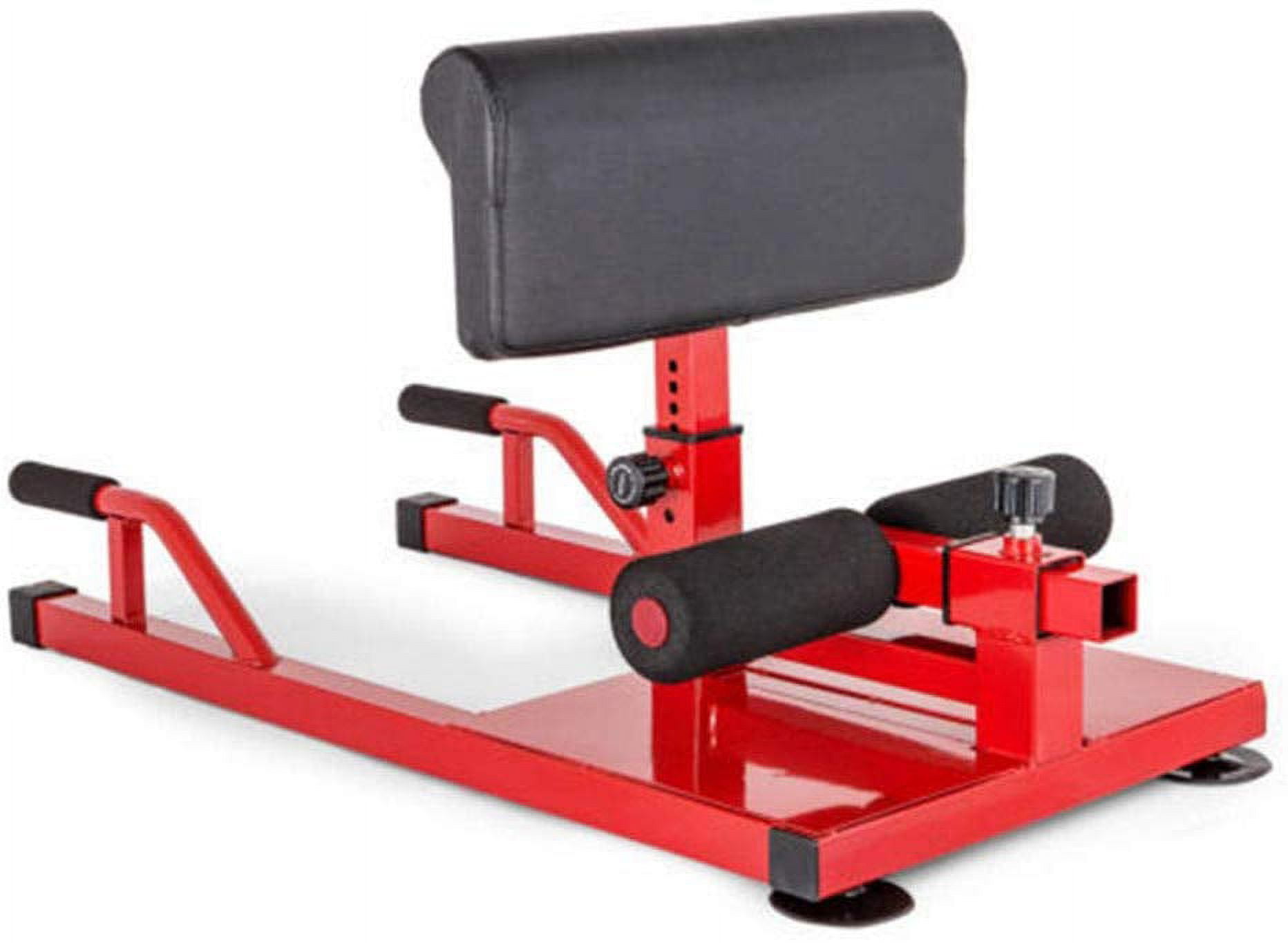 Sissy squat machine walmart shop