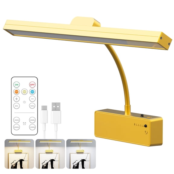 INTELIVE Painting LED Light with Remote, 3000mAh Rechargeable Picture Lighting Golden Design with 5 Color Modes, Button Control Painting Light