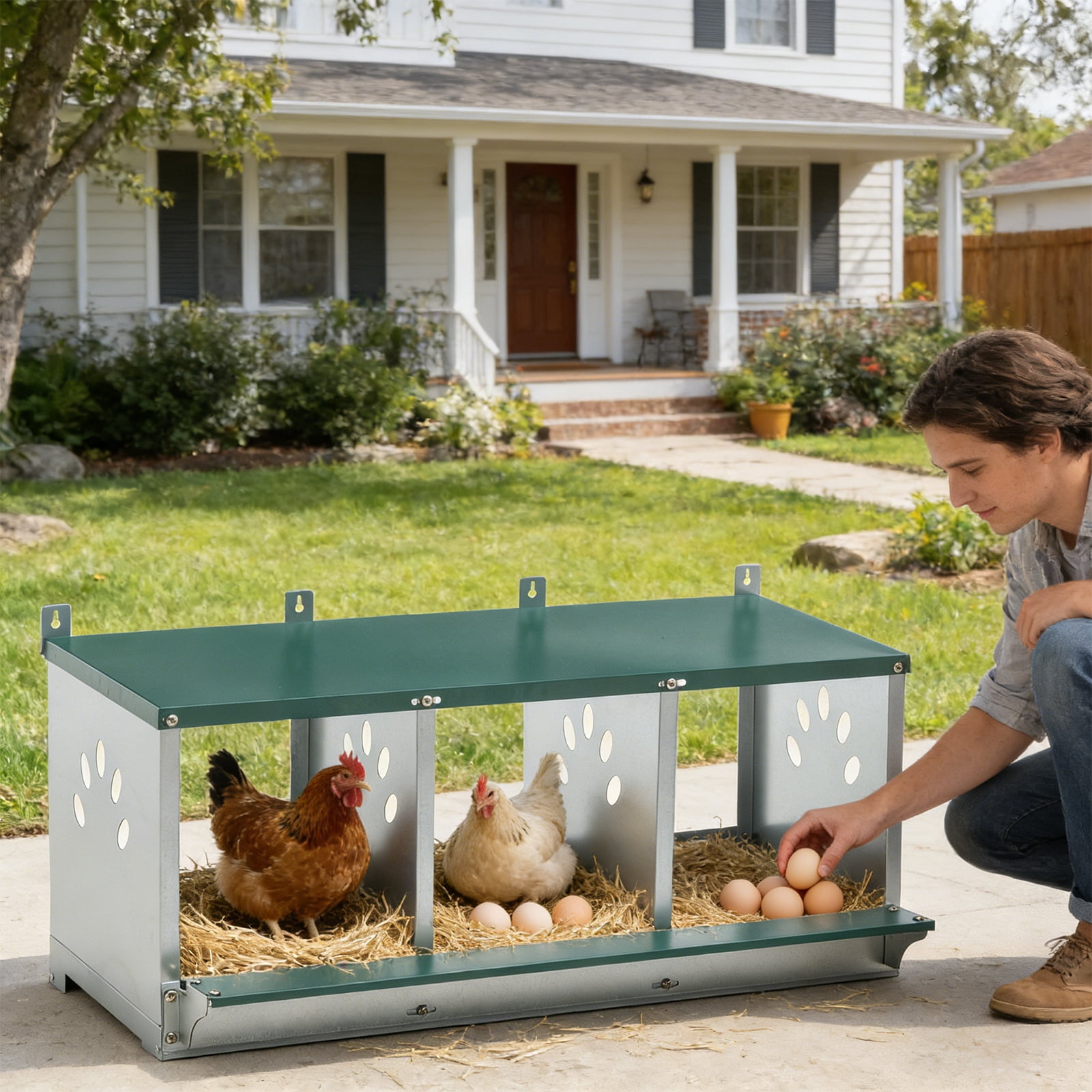 INTER HUT 3-Hole Chicken Nest, Galvanized Steel Rustproof Metal Nesting ...