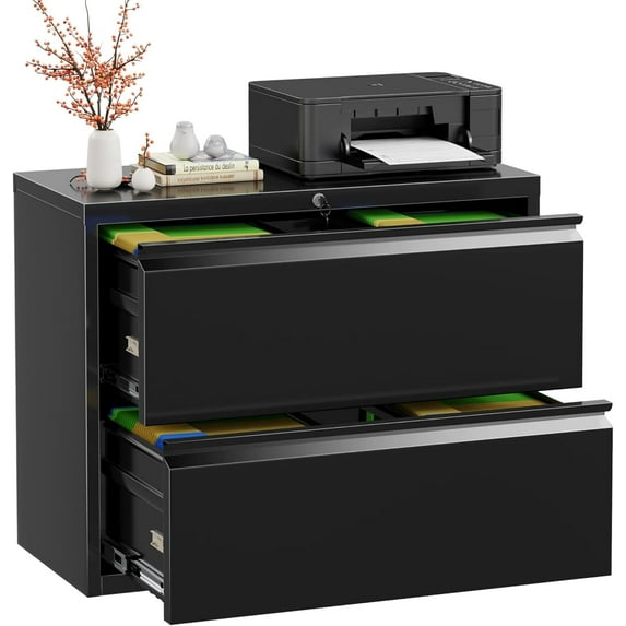 INTERGREAT Lateral File Cabinet 2 Drawer, Black Metal 2 Drawer Filing Cabinet with Lock for Home Office, Locking File Cabinet for Letter/Legal/F4/A4 Size Hanging Files, Easy Assembly