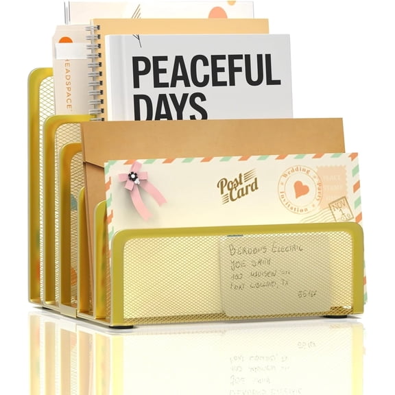 INTIGE Mail Organizer Countertop with 5 Slot, Metal Mail Holder for Desk, File Holder Letter Sorter for Envelope, Bill and Document