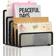 thumbnail image 1 of INTIGE Mail Organizer Countertop with 5 Slot, Metal Mail Holder for Desk, File Holder Letter Sorter for Envelope, Bill and Document, 1 of 6