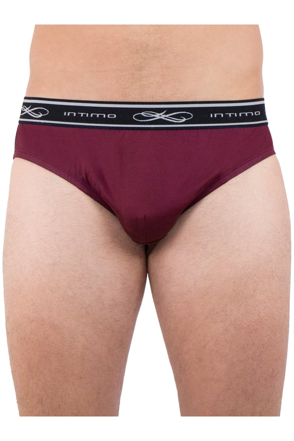 INTIMO Mens Comfy Exposed Waistband Silk Low Rise Brief