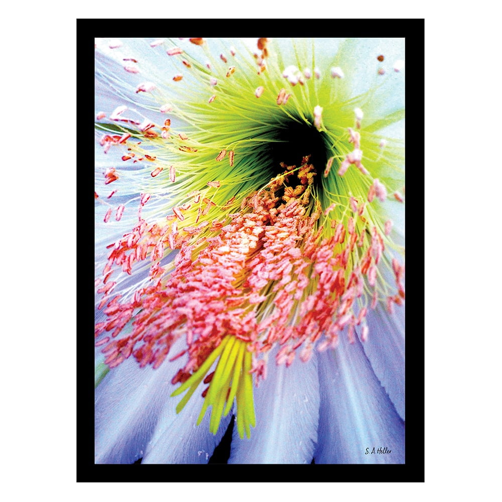 Vibrant Floral Sports Print Framed for Kids, 18" x 14"