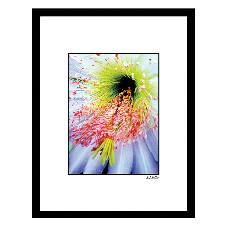 INTO THE BLOOM Framed Printed Photograph - Walmart.com