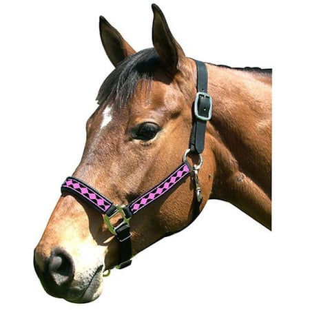 intrepid international leather crown diamond with padded nose halter, black/neon pink, cob