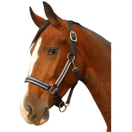 HALTER PADDED LEATHER CROWN SILVERADO COB NAVY/SILVER