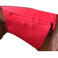 thumbnail image 1 of INTREPID INTERNATIONAL Yearling Red Neoprene Neck Sweat (113902), 1 of 2