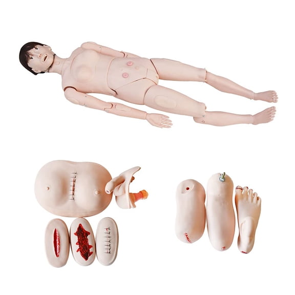 INTSUPERMAI Man and Woman Nursing Training Human Manikin Medical Teaching Model