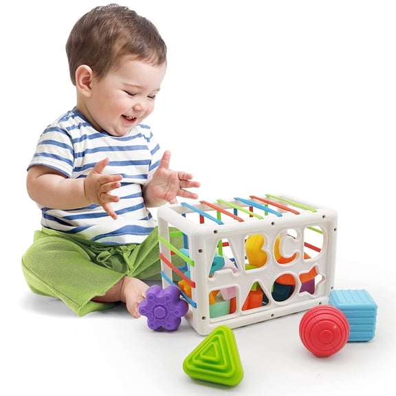 Shape Sorter Learning Toys for Baby 6-12 Months, Educational Toys for 1,2 Years Old Boys Girls Birthday Christmas Gifts