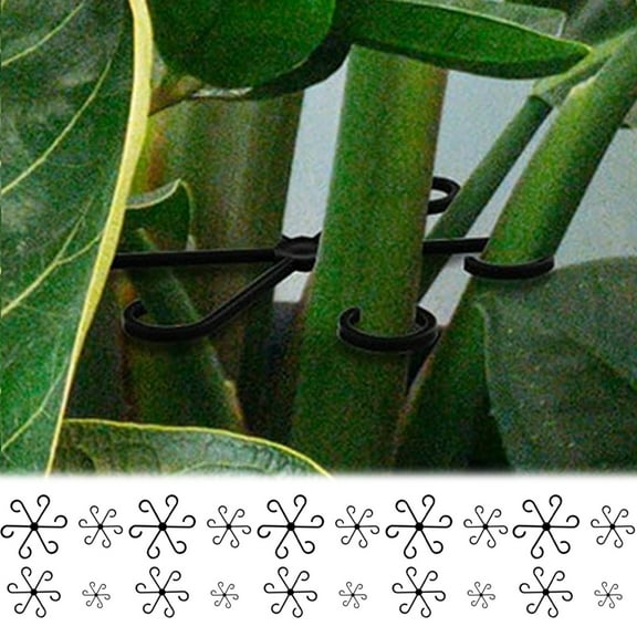 IOTdou Stem Supports, Climbing Houseplant Stem Supports, Reusable Plastic Climbing Support for Gallon Plant, Plant Stem Support, Flower Plant Stakes, Stem Hook Growth Accessories in 4 Sizes