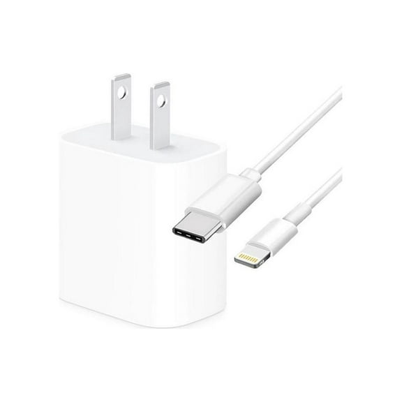 4XEM 4XIPADKITC6 White iPad Kit with 20W Charger and 6FT USB Type C to 8 Pin Cable