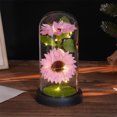 thumbnail image 1 of IPEWLEX LED Glass Sunflower Bouquet - Mother's Day & Valentine's Gift, Preserved Floral Arrangement with Lights,Home Decor, 1 of 6