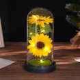 thumbnail image 1 of IPEWLEX LED Glass Sunflower Bouquet - Mother's Day & Valentine's Gift, Preserved Floral Arrangement with Lights,Home Decor, 1 of 6