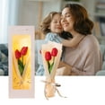 thumbnail image 1 of IPEWLEX Luminous Soap Flower Bouquet - Mother's Day Gift for Teachers & Elders, Handheld LED Rose Artificial Maple (Preserved), 1 of 6