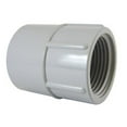 thumbnail image 1 of IPEX 9663287 1.25 in. Female Conduit PVC Adapter, Grey, 1 of 1