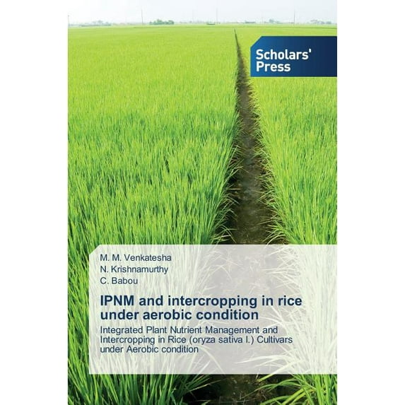 IPNM and intercropping in rice under aerobic condition (Paperback)