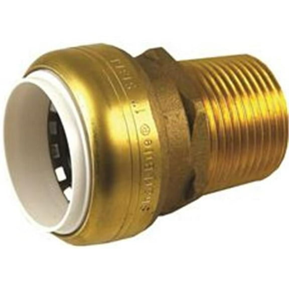 IPS & MNPT Sharkbite PVC Male Connector, 1 x 1 in.