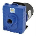 thumbnail image 1 of IPT Pumps 109464 Cast Iron Self-Priming Centrifugal Water Pump - 7800 GPH, 2 HP - 1. 5 inch - Model No.  2828-IPT-95, 1 of 1