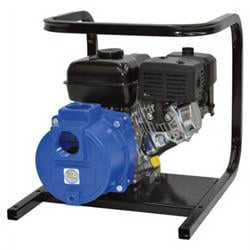 IPT Pumps 22657 Cast Iron Self-Priming Semi-Trash Water Pump - 2 inch Ports, 6 - 600 GPH - 0. 375 inch Solids Capacity -