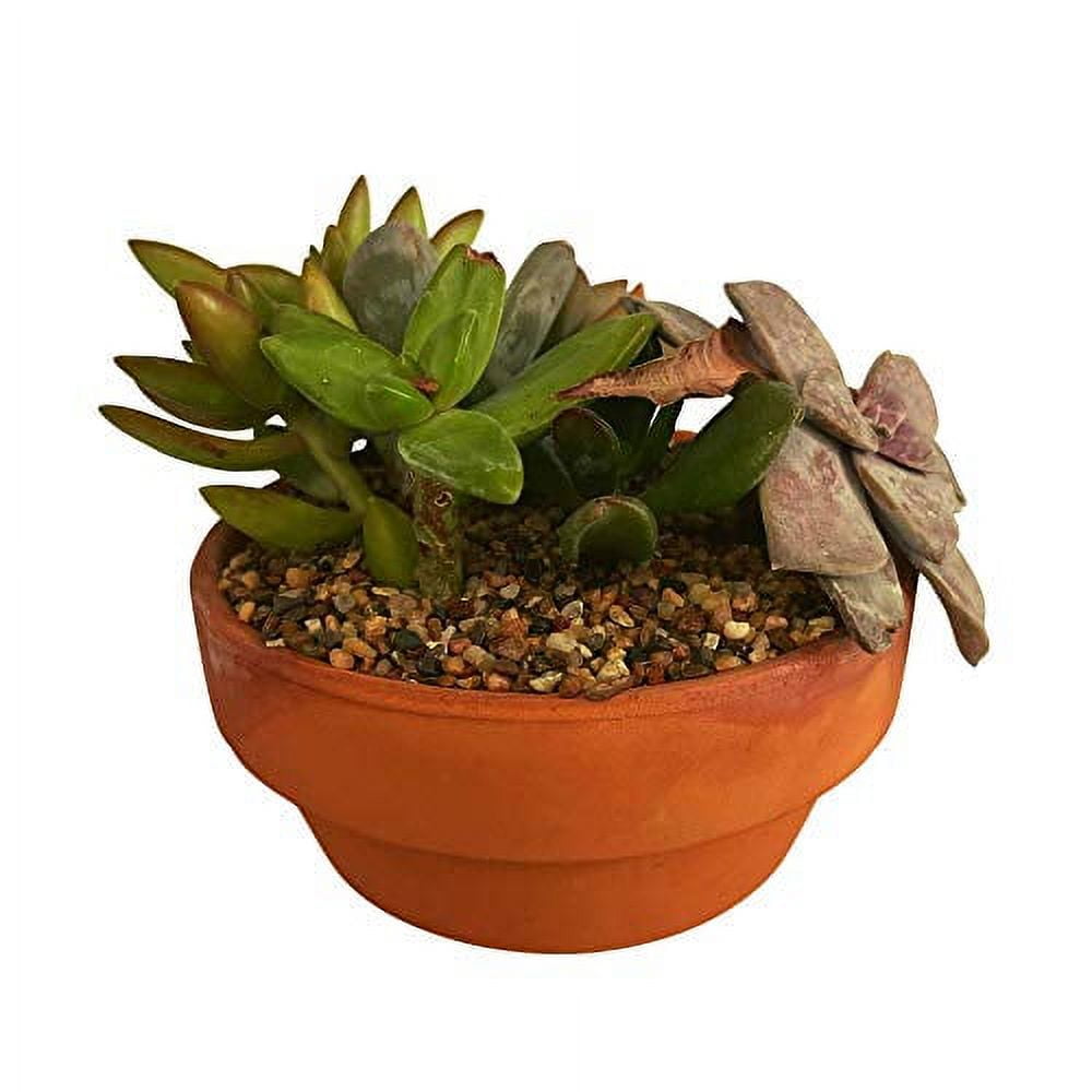 IPW Industries Water Softener Gravel Filter Bed Media for Filter Tanks, Water