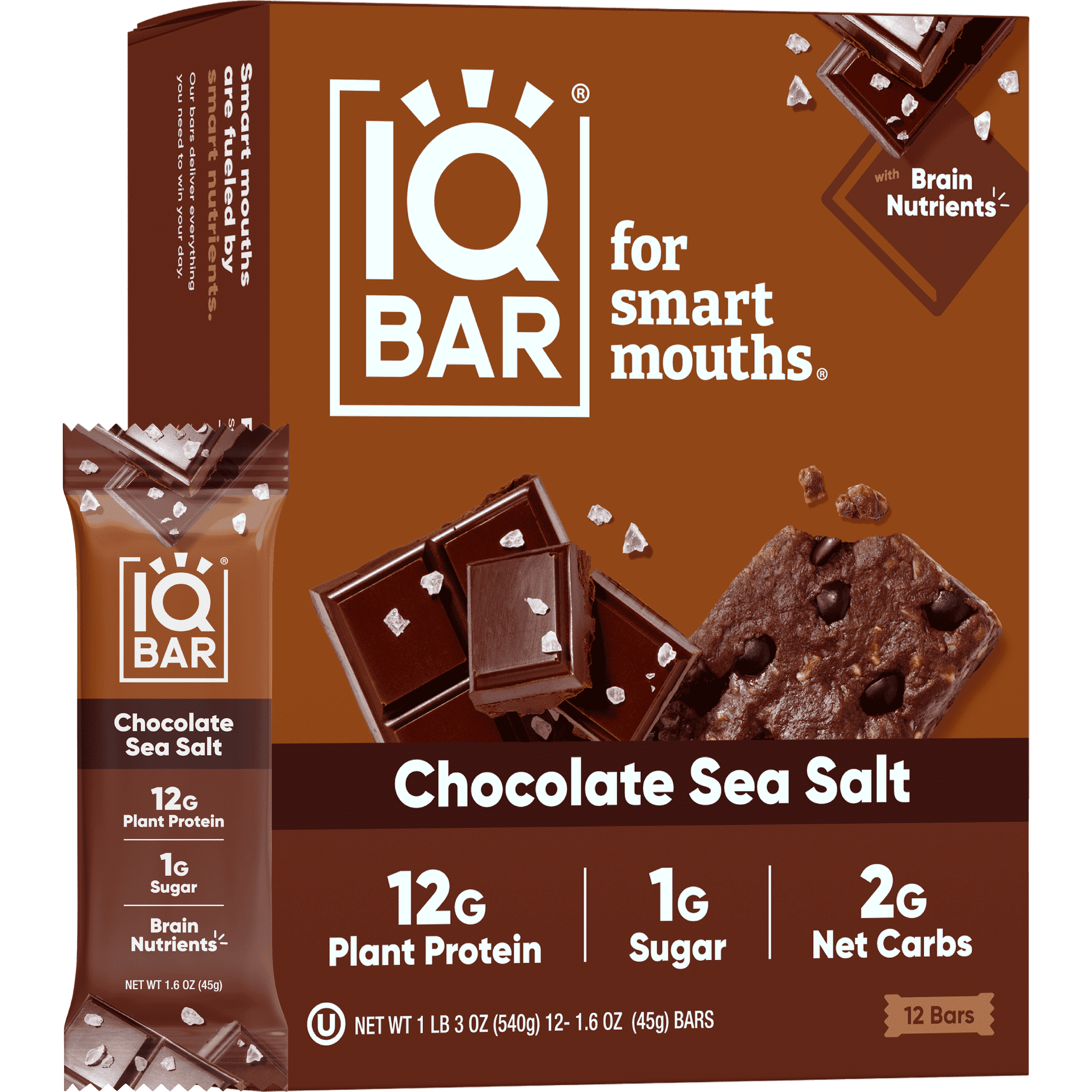 IQBAR Clean Plant Protein Bars - Chocolate Sea Salt - 12 Count - Keto, Vegan, High Fiber, Gluten and Dairy Free, Low Sugar Snack