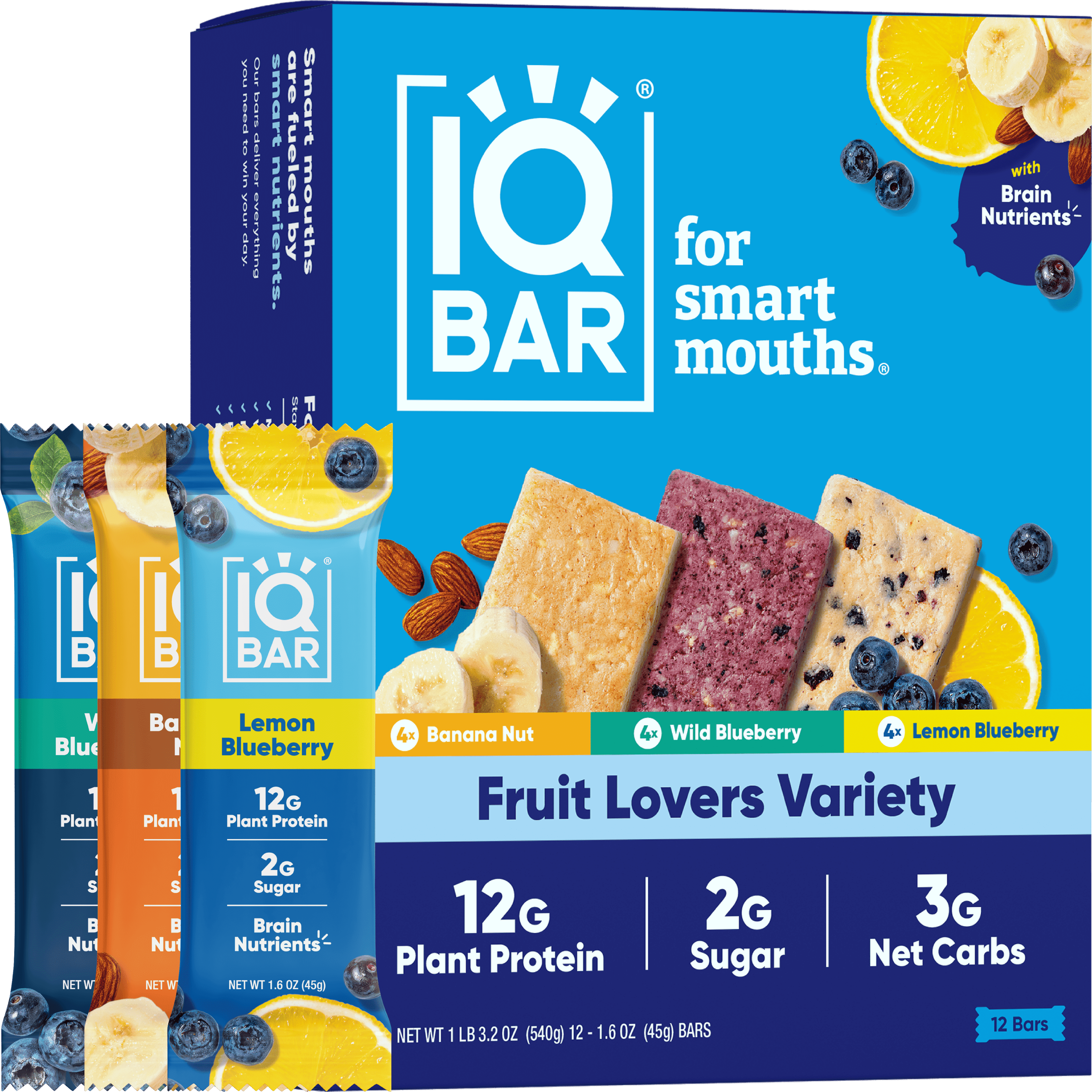 IQBAR Clean Plant Protein Bars - Fruit Lovers Variety - 12 Count - Keto, Vegan, High Fiber, Gluten and Dairy Free, Low Sugar Snack