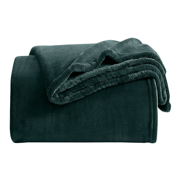 IR Imperial Rooms Fleece Bed Blanket 310 GSM Microfiber Lightweight Warm Winter Blanket Fluffy Cozy Plush Emerald Green Twin Size