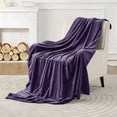 thumbnail image 1 of IR Imperial Rooms Fleece Bed Throw Blanket, Plush, Travel and Couch Fuzzy, Cozy Washable Ultrasoft Throw Size Purple, 1 of 13