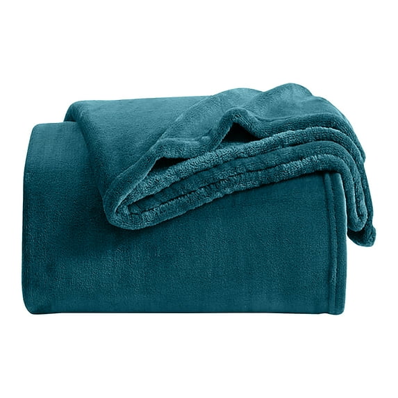 IR Imperial Rooms Fleece Bed Blanket 310 GSM Microfiber Lightweight Warm Blanket Fluffy Cozy Plush Throw Teal Twin Size