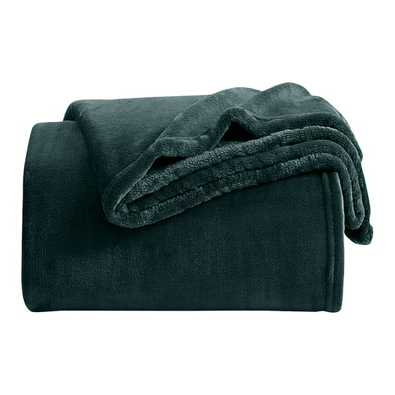 IR Imperial Rooms Adult Fleece Bed Blanket 310 GSM Microfiber Lightweight Warm Fluffy Cozy Plush Emerald Green Queen Size