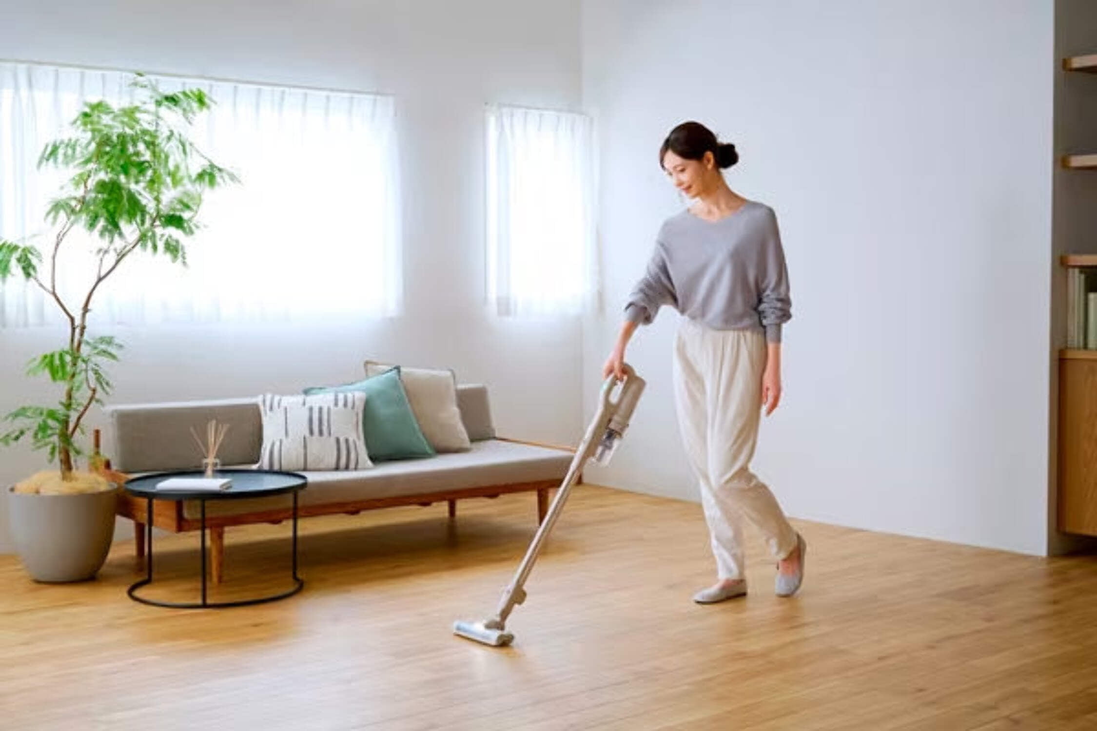Cyclone Cleaner