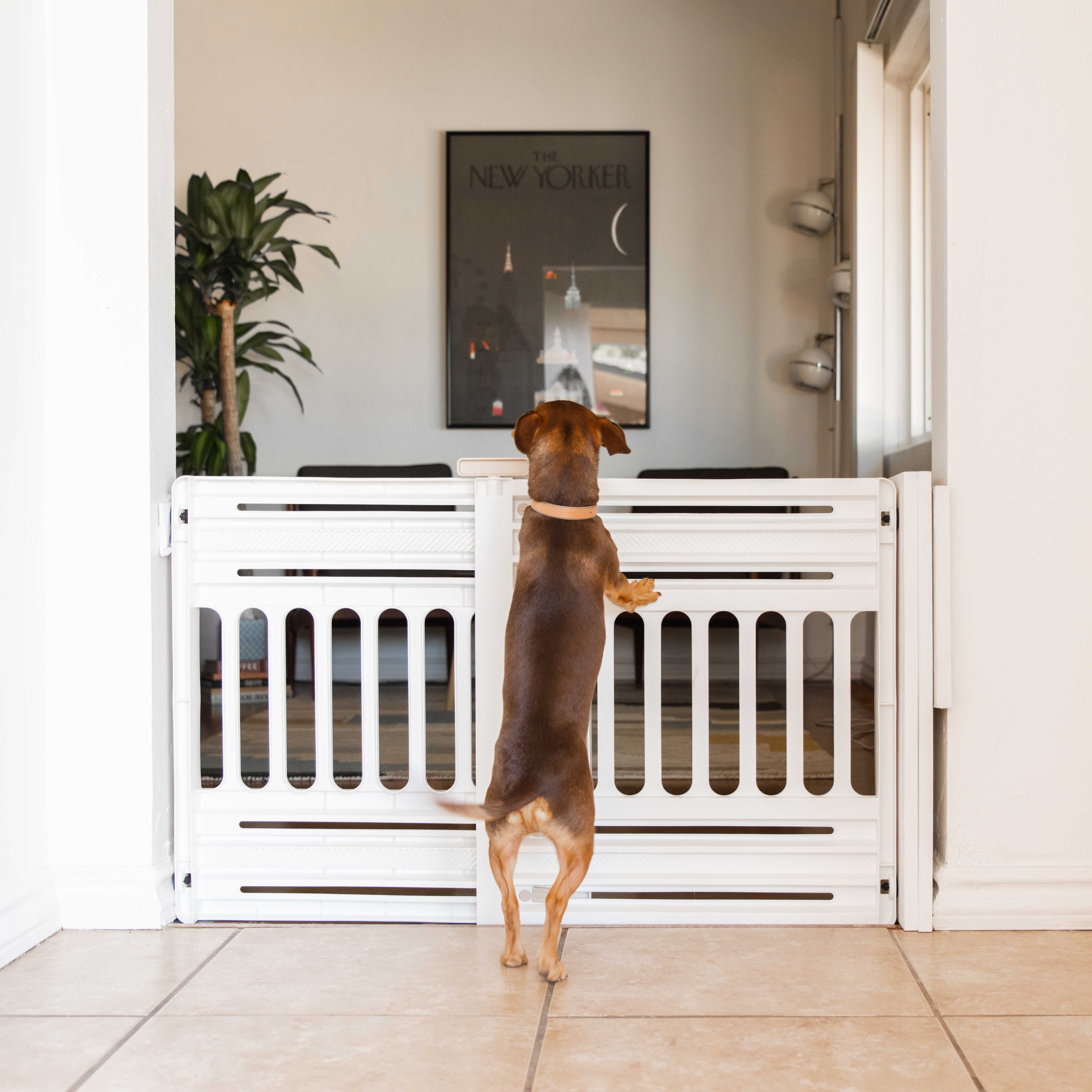 White Plastic Retractable Pet Gate with Pressure Mount