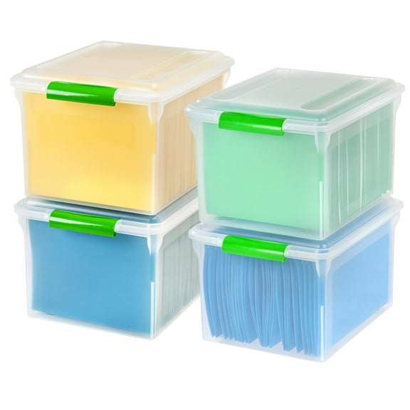 IRIS File Box File Organizer Plastic File Box for Letter/Le Gal File