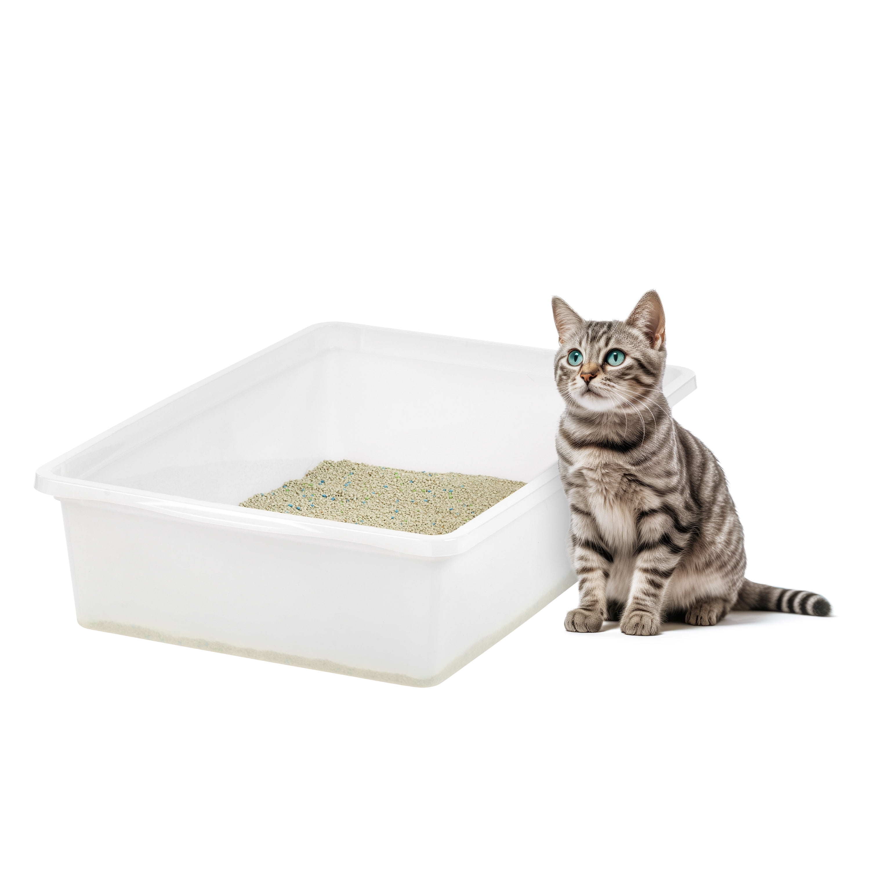 Large White Plastic Open Top Cat Litter Pan
