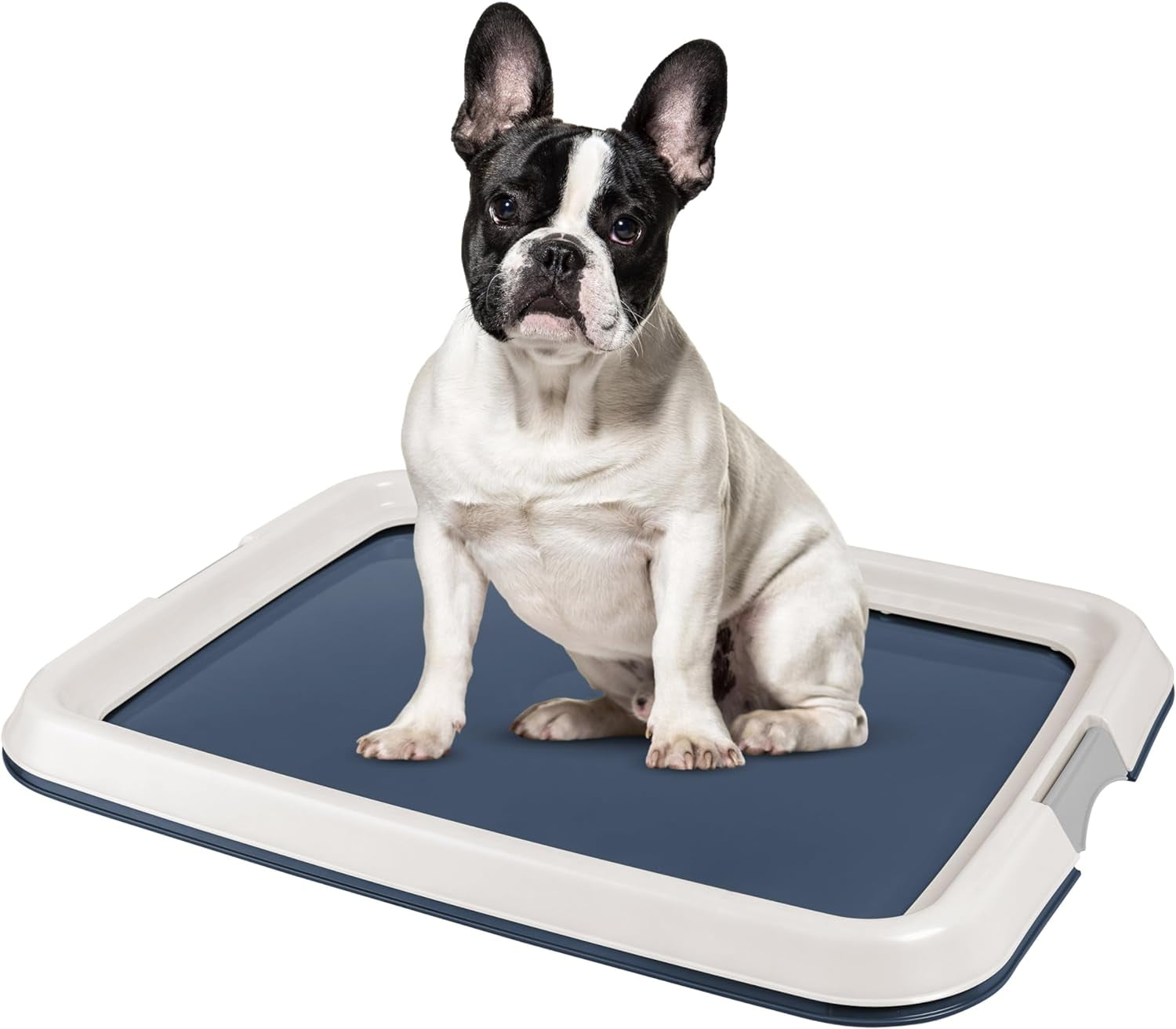 Puppy Pad Tray
