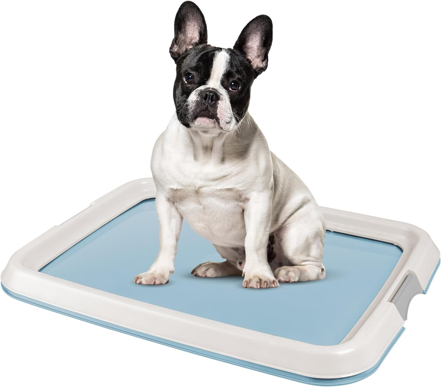 Blue Medium Dog Pad Holder with Non-Skid Rubber Feet