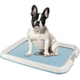 thumbnail image 1 of IRIS USA Pee Pad Holder, Fits 17"x24" or Larger, Medium, Puppy Dog Pad Hoder, Secured Latches, Non-Skid Rubber Feet, High Polish Finish for Easy Cleaning, Leak Protection, Dog Potty Tray, Blue, 1 of 8
