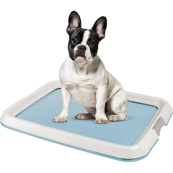 IRIS USA Pee Pad Holder, Fits 17"x24" or Larger, Medium, Puppy Dog Pad Hoder, Secured Latches, Non-Skid Rubber Feet, High Polish Finish for Easy Cleaning, Leak Protection, Dog Potty Tray, Blue