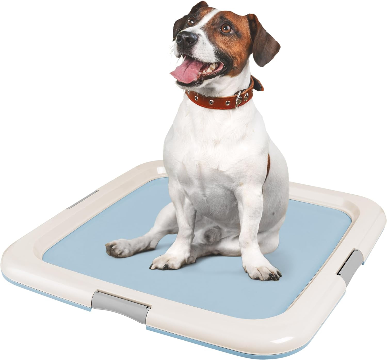 Blue Plastic Pet Training Pad Holder with Non-Skid Feet
